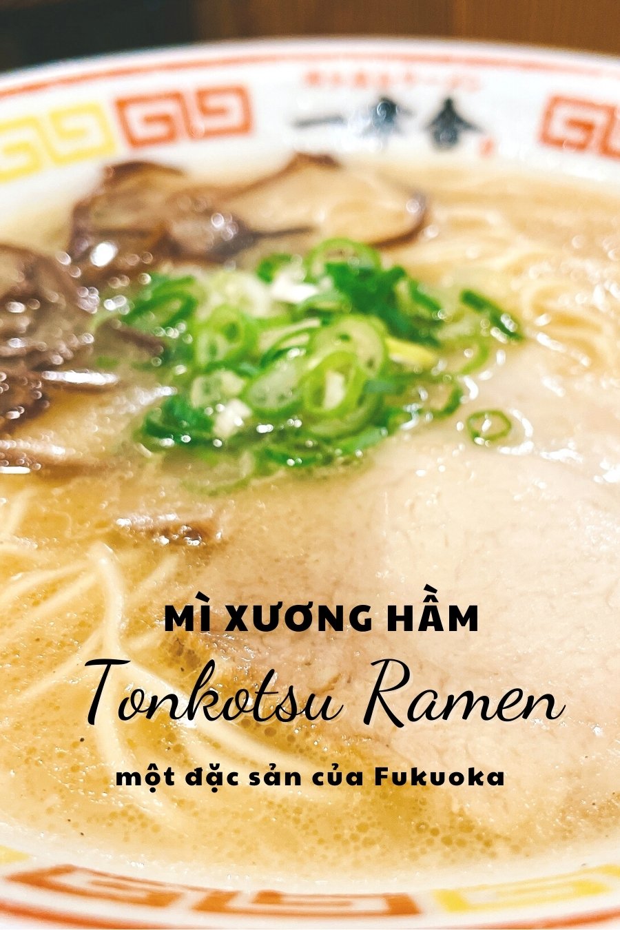 tonkotsu ramen-ề tồ