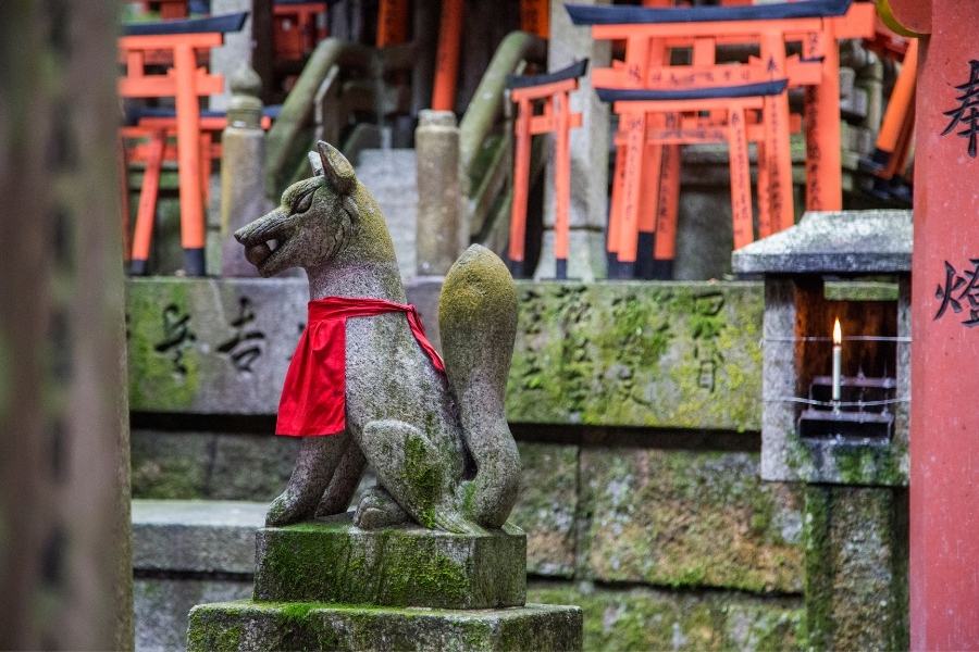 kitsune inari