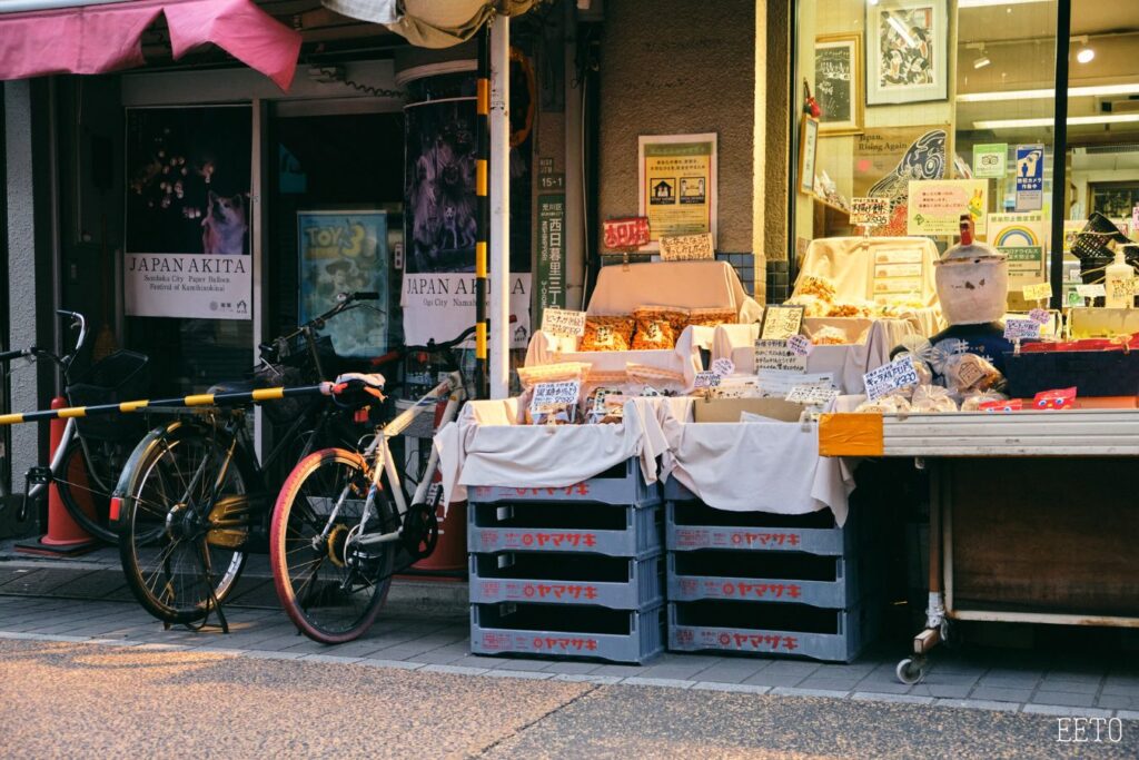 du lich yanaka ginza2