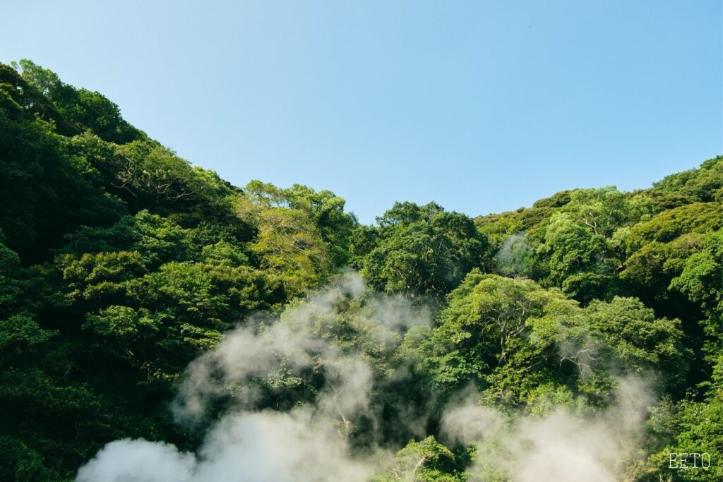 du lich oita beppu yufuin5