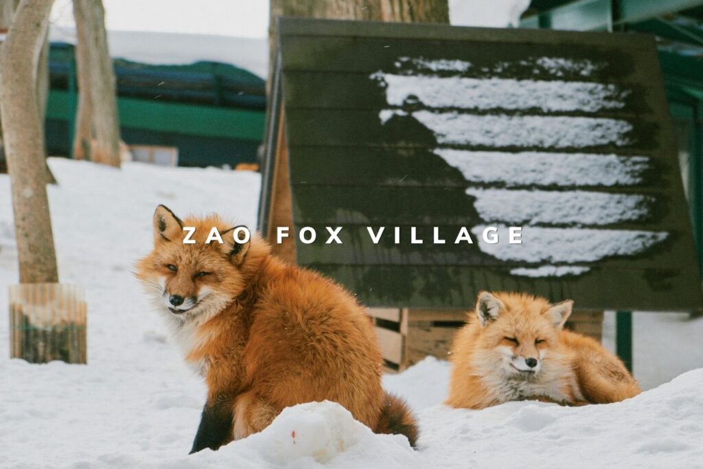 lang cao zao fox village