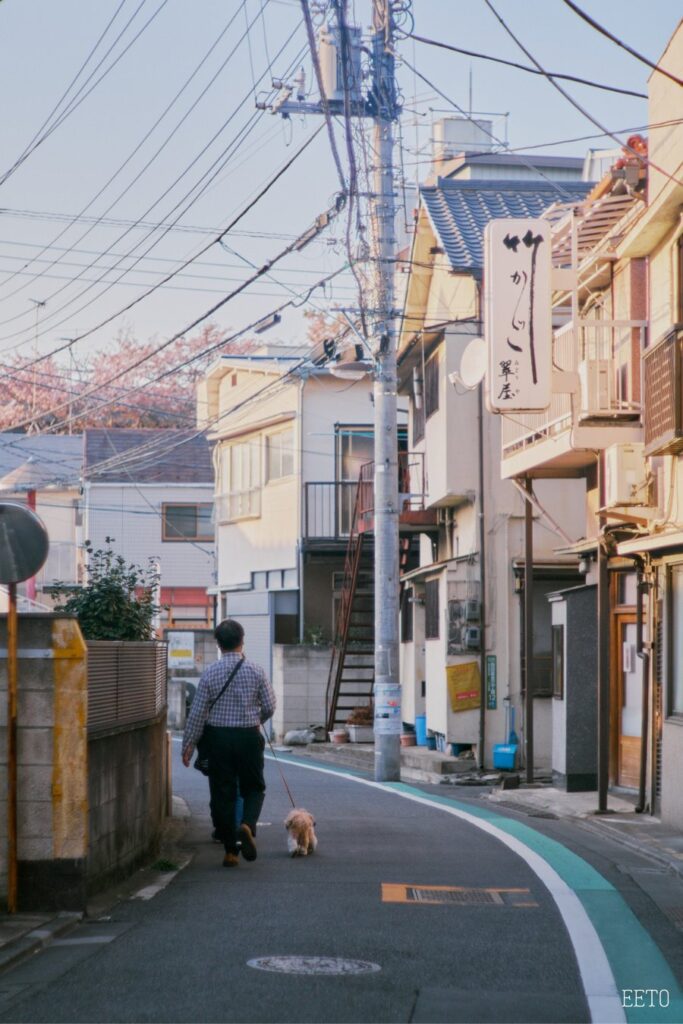 yanaka ginza shopping street1