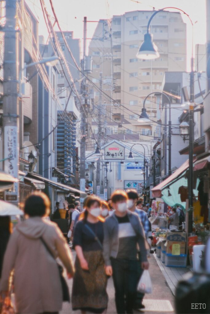 yanaka ginza shopping street14