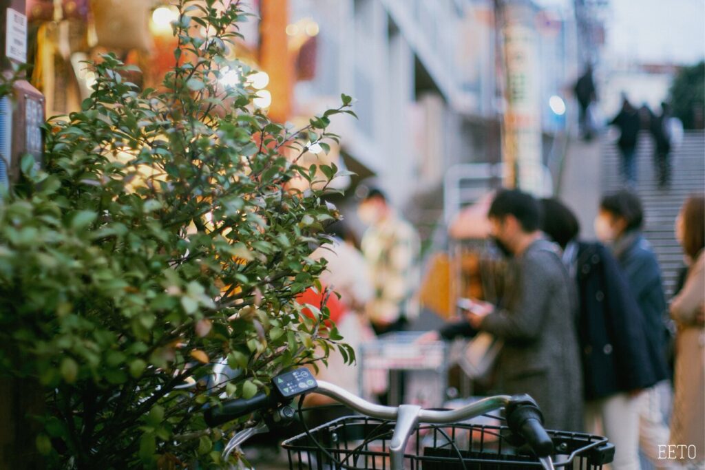 yanaka ginza shopping street6 1